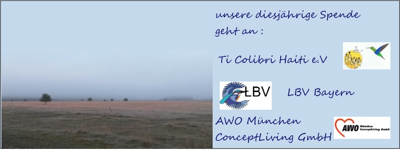 Weihnachten 2015